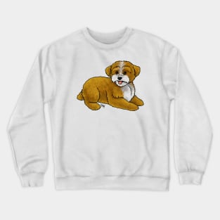 Dog - Yorkipoo - Red and White Crewneck Sweatshirt